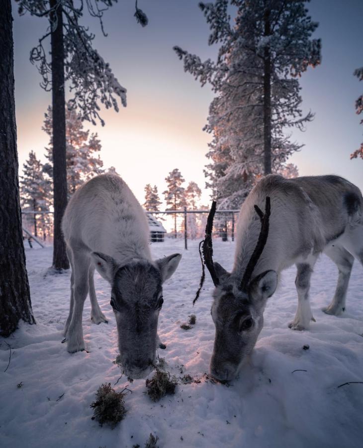 Aurora Village Ivalo Zewnętrze zdjęcie