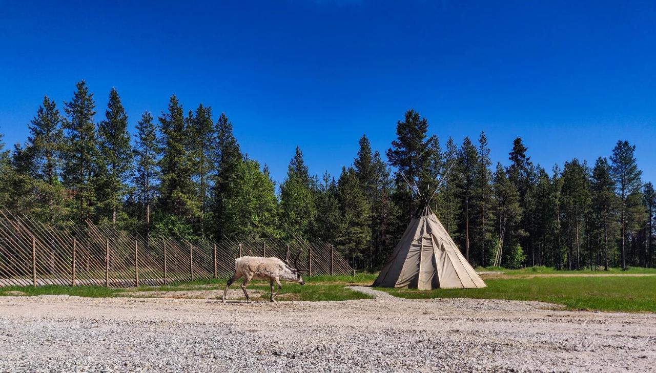 Aurora Village Ivalo Zewnętrze zdjęcie